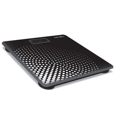 Camry Fit digital scale