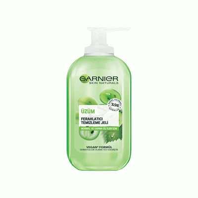 Gel Wash Garnier